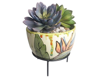 Succulent Planter Class - March 27th - $35