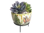 Succulent Planter Class - March 27th - $35