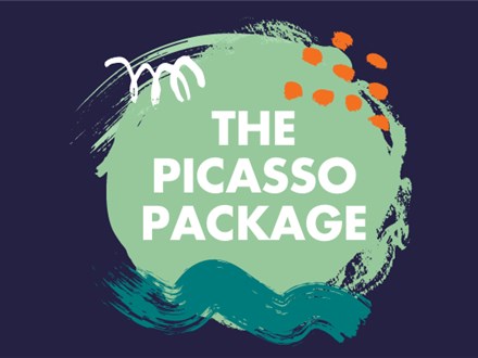 THE PICASSO PARTY PACKAGE