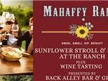 Mahaffy Ranch Sunflower Stroll and Dinner 