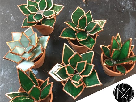 Stained Glass Succulents