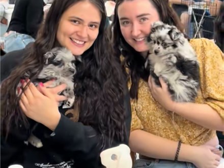 Paint with Puppies - Sat, Sept. 6th 12:30pm