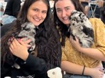 Paint with Puppies - Sat, Sept. 6th 12:30pm