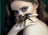 Paint with a Tarantula | Oct 19th 1-3pm