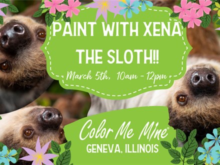 Paint with Xena the Sloth! - March, 5th