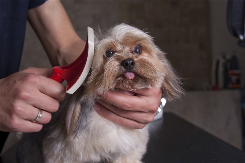 Tails-A-Waggin' Pet Grooming