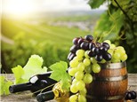 Group Tasting: Mercer Wine Estates
