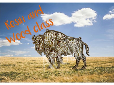 Buffalo Resin Class