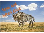 Buffalo Resin Class