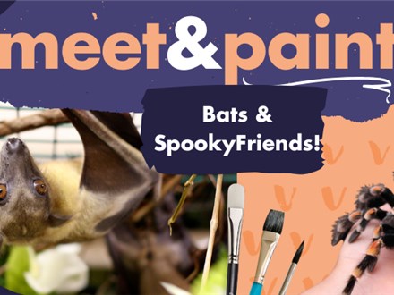 Paint With Live Bats and Their Spooky Friends! - Oct, 17th