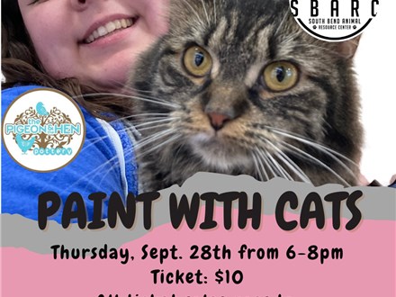 Paint with Cats @PH Pottery! 