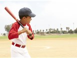 Baseball/Softball Batting Cages: Triple Play Batting Cage Inc