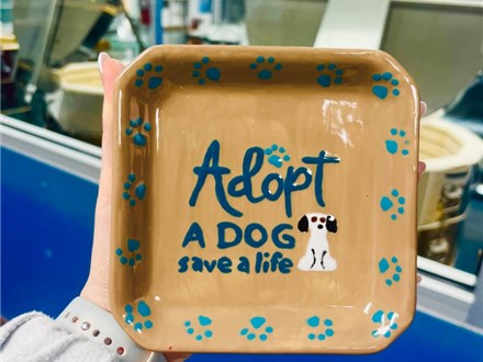Pottery For Paws, an adoption fair at Mad Splatter - October 18 - $10