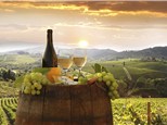 Corporate Events: Robert Karl Cellars Winery