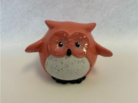 Pudgy Owl Class!