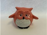 Pudgy Owl Class!