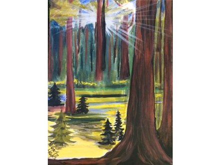 California Redwoods