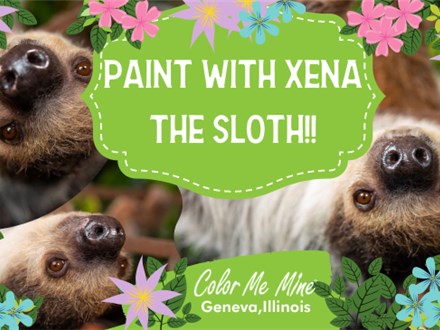 Paint with Xena the Sloth! - June 12th
