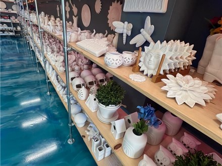 Make a reservation today to WAIVE ALL STUDIO FEES for Pottery and Canvas Painting!