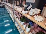 Make a reservation today to WAIVE ALL STUDIO FEES for Pottery and Canvas Painting!