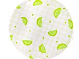 Fruit Plate Workshop