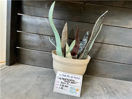 You Had Me at Merlot - Hand Building "Snake Plant" - Clay - Sunday April 14th - 11:30am - $40